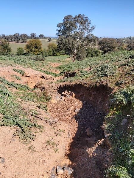 Erosion control works on properties to address threatened species and ...